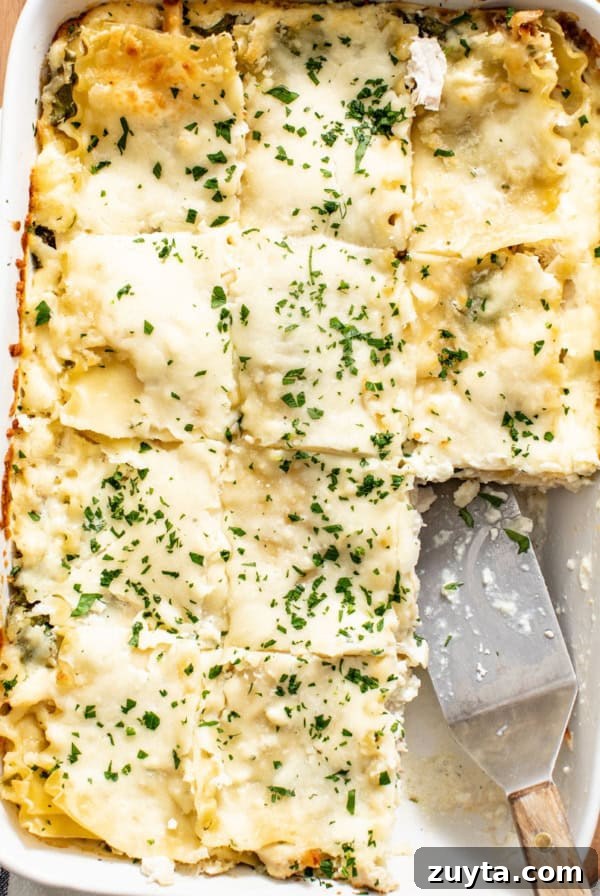 A creamy chicken Alfredo lasagna being sliced into pieces with a serving spatula.