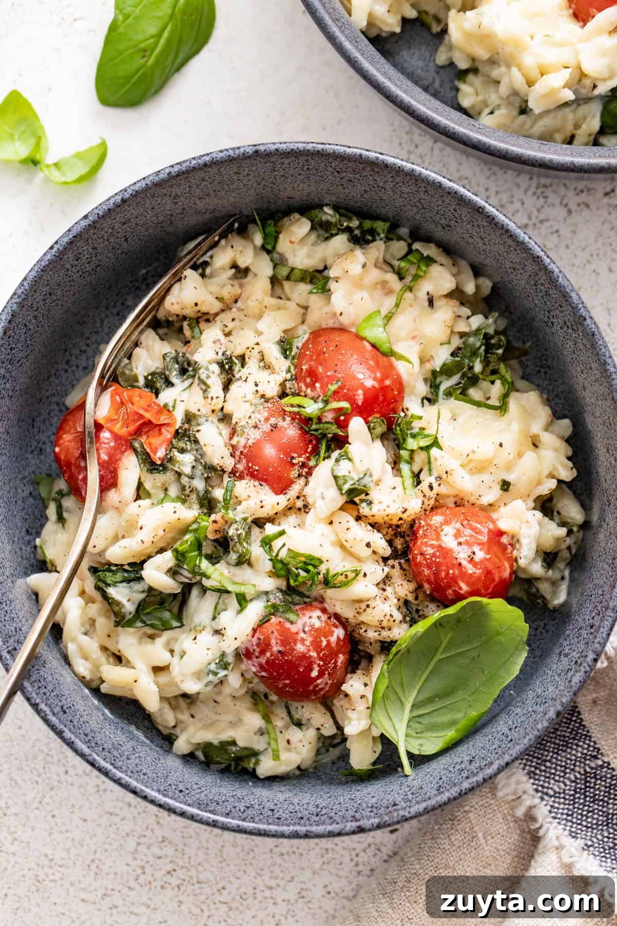 Creamy Boursin Orzo Bake Recipe 9 A bowl or orzo in a creamy boursin cheese sauce.