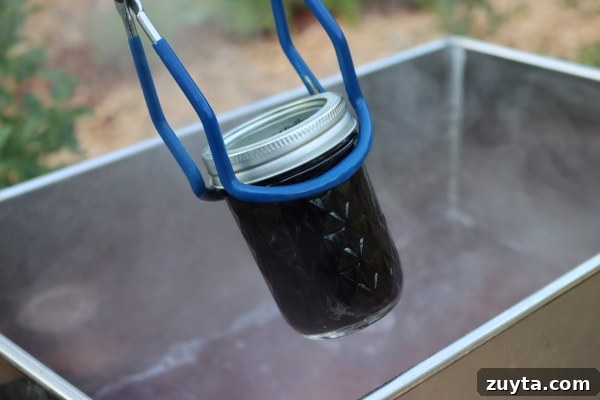 How to Can Berry Juice at Home 2 Canning Blackcurrant Juice