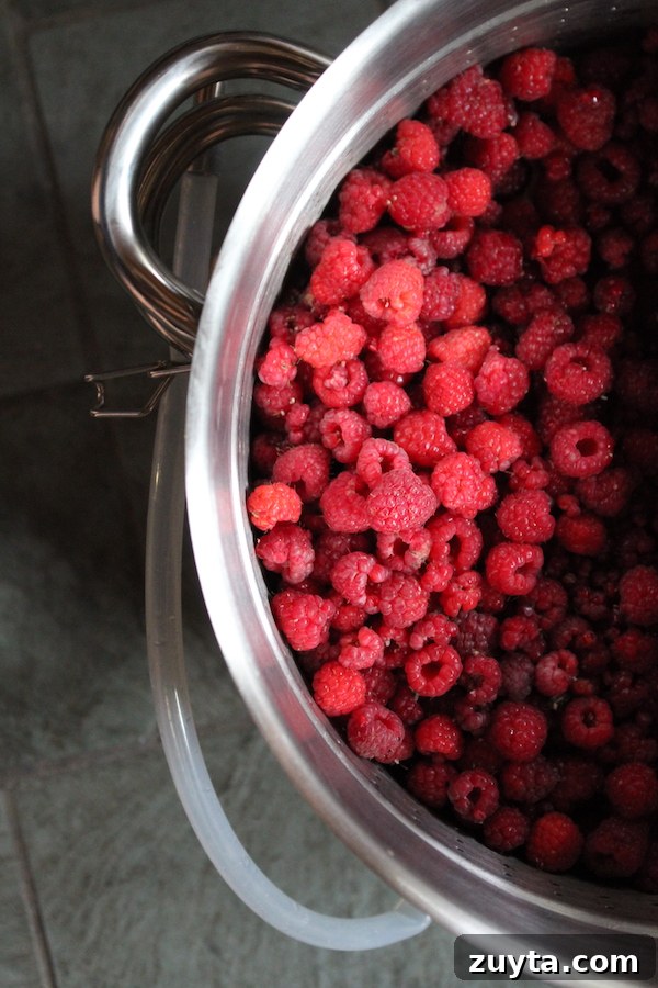 How to Can Berry Juice at Home 4 Raspberries in a steam juicer