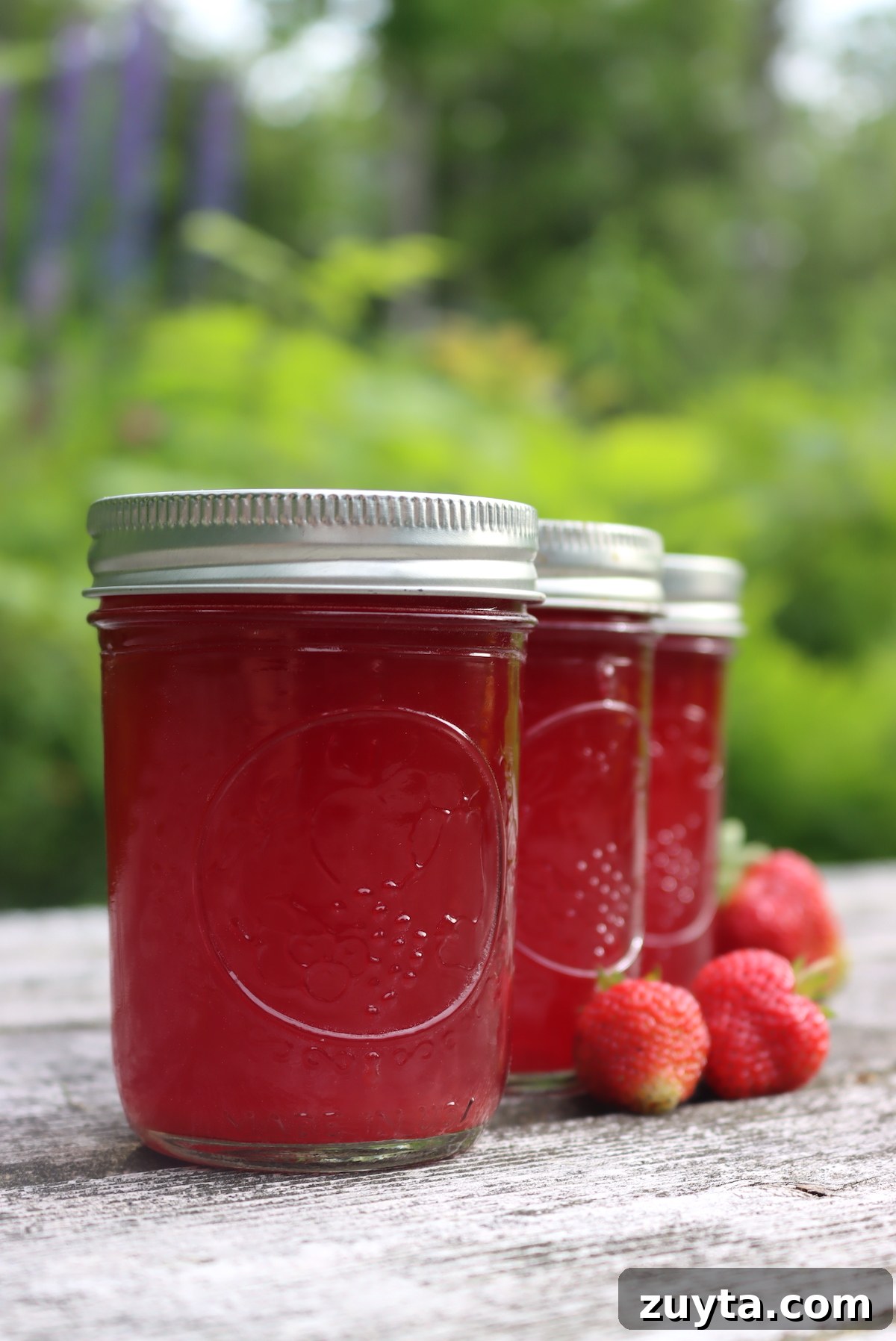 How to Can Berry Juice at Home 5 Canning Strawberry Juice