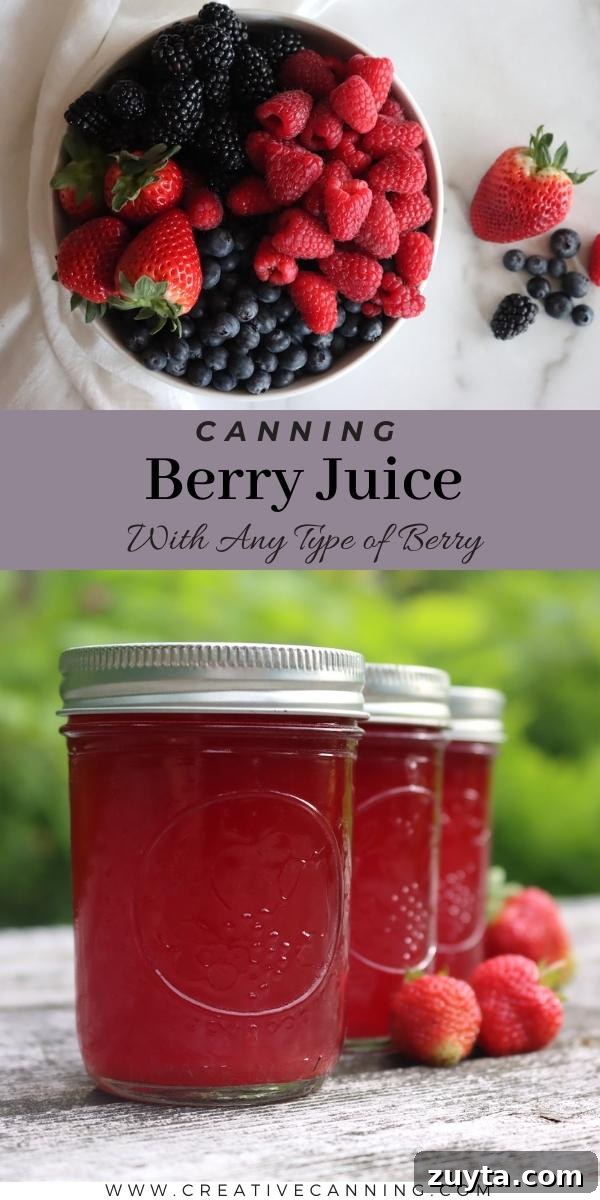 How to Can Berry Juice at Home 7 Canning Berry Juice
