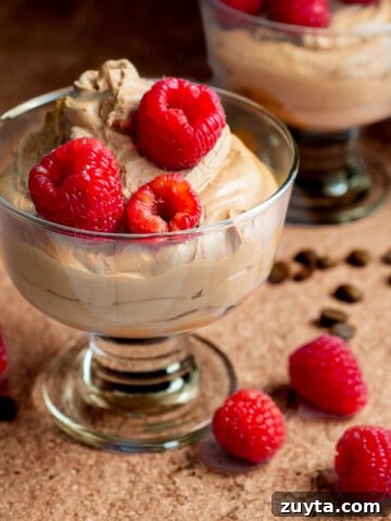 Coffee mousse in two pudding bowls, topped with raspberries.