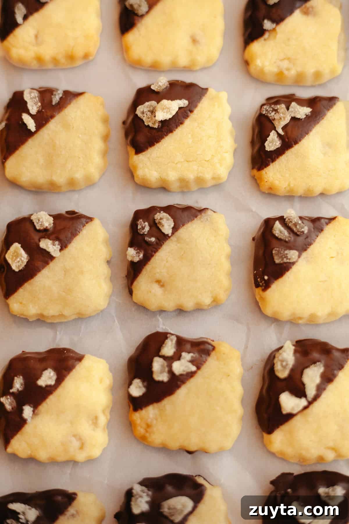 Double-Ginger Shortbread Cookies Recipe 2 Four lines of ginger shortbread cookies, half dipped in chocolate and crystallized ginger.