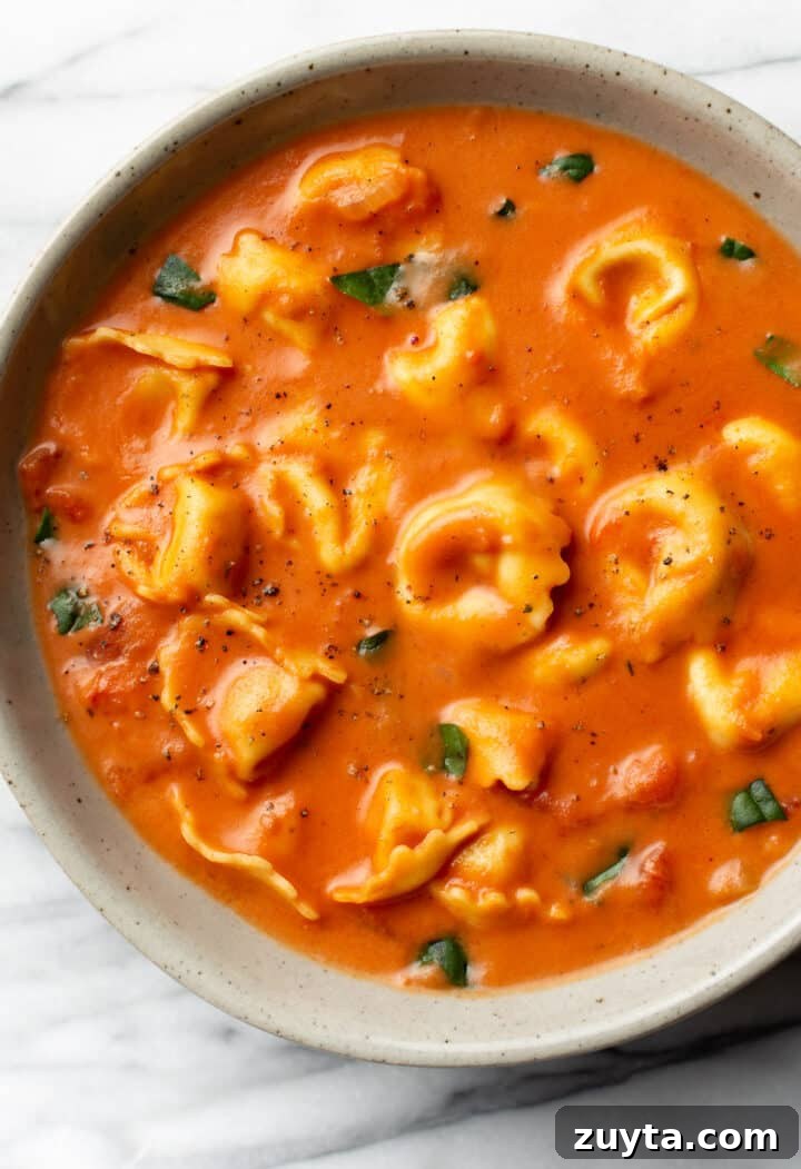 Creamy Tomato Tortellini Soup Recipe 5 a bowl of tomato tortellini soup