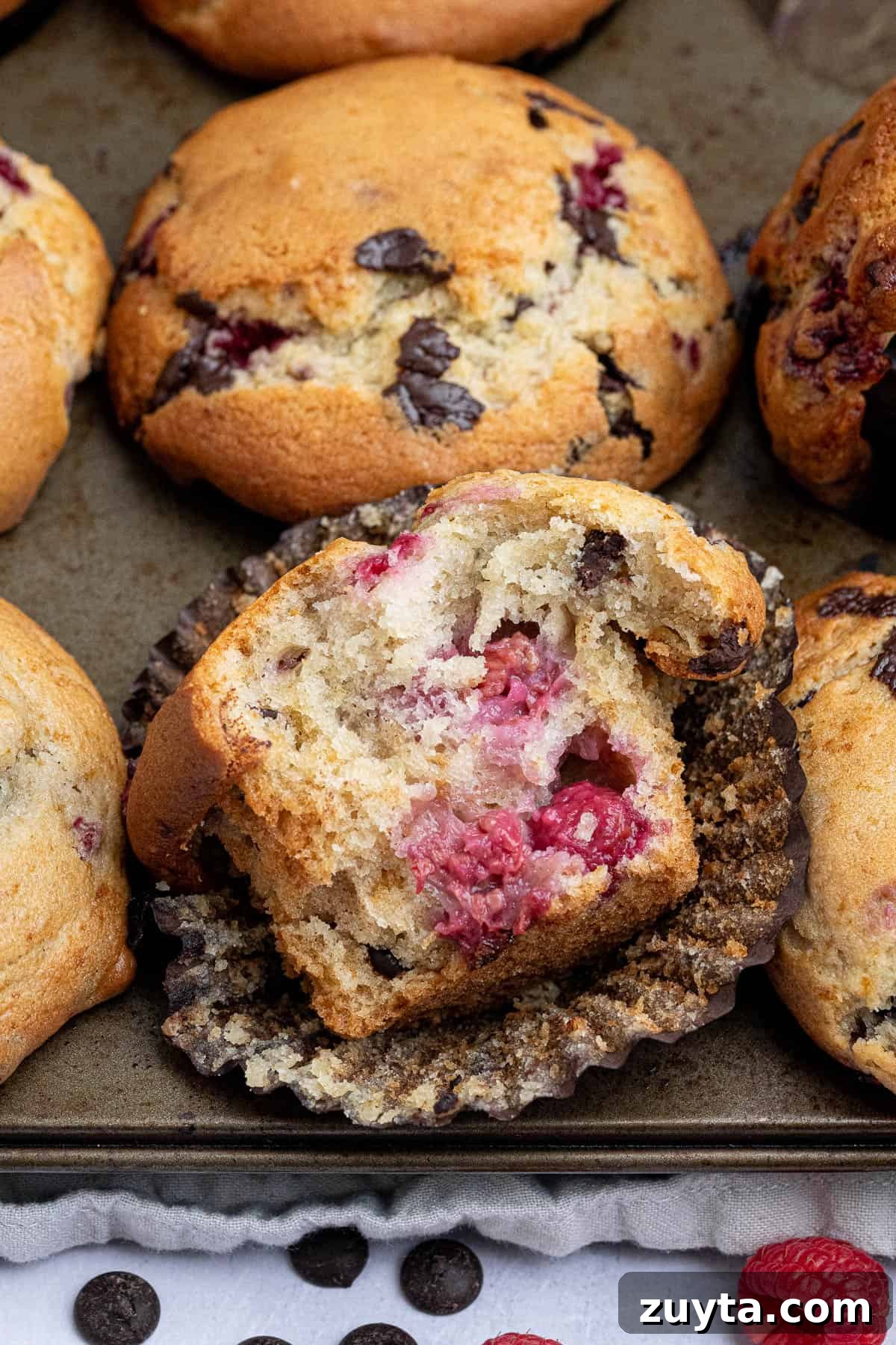 Vegan Chocolate Chip Raspberry Muffins Recipe 10 Close up of a choc chip raspberry muffin with a bite taken out of it.
