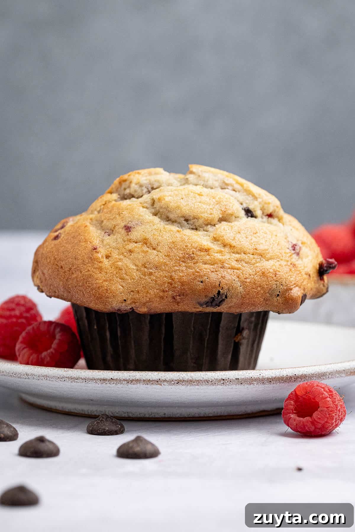 Vegan Chocolate Chip Raspberry Muffins Recipe 11 A vegan choc chip raspberry muffin on a white plate with fresh raspberries.