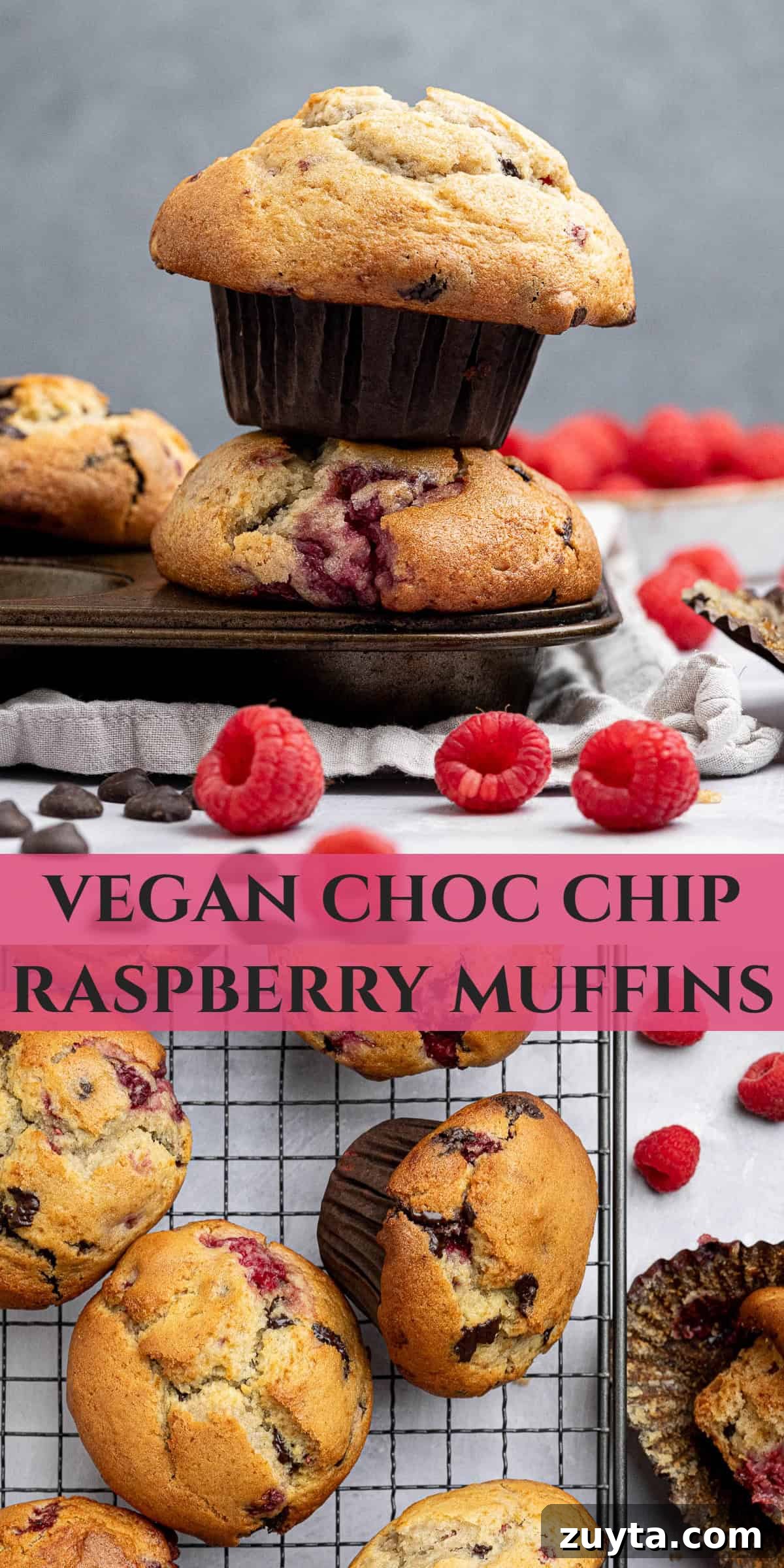Vegan Chocolate Chip Raspberry Muffins Recipe 12 Pinterest collage image.