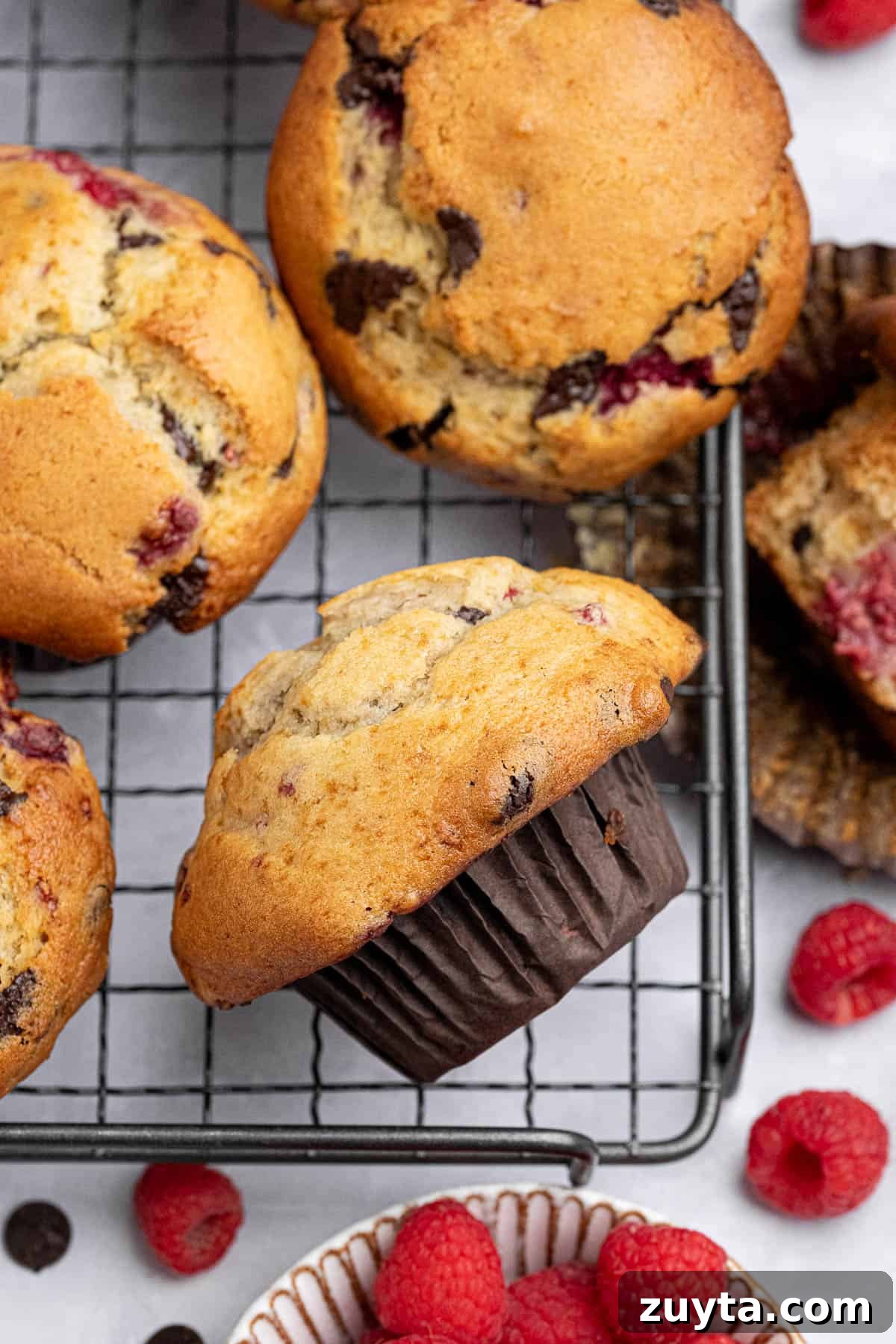 Vegan Chocolate Chip Raspberry Muffins Recipe 3 Close up of a choc chip raspberry muffin on a wire cooling rack.