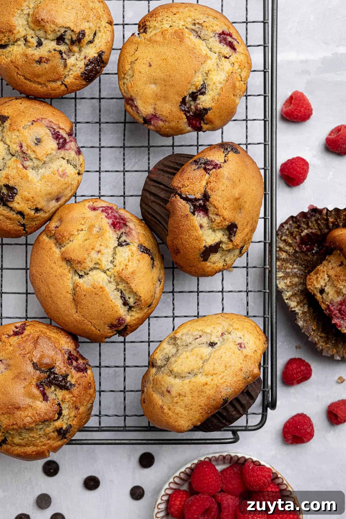 Vegan Chocolate Chip Raspberry Muffins Recipe 9 Vegan choc chip raspberry muffins on a wire cooling rack.