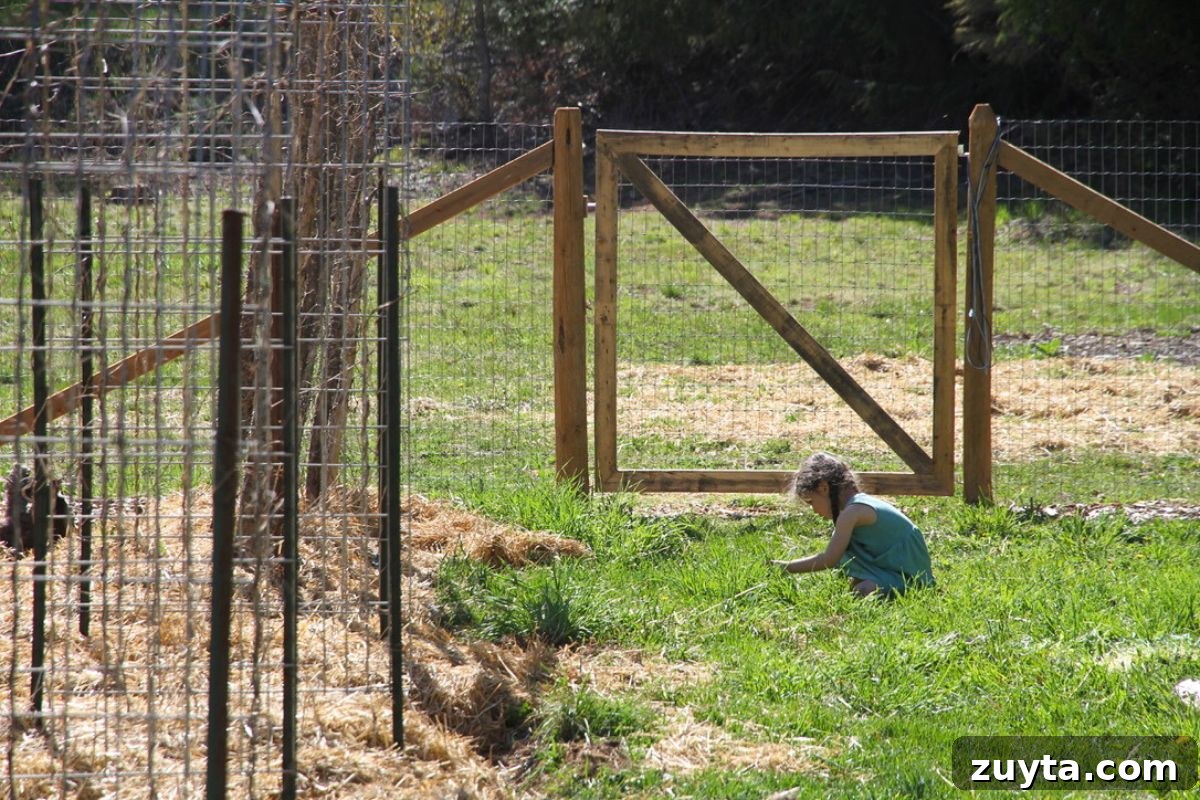 7 Eye-Opening Lessons From Living Without the Internet 4 A child picking dandelions in a green lawn.