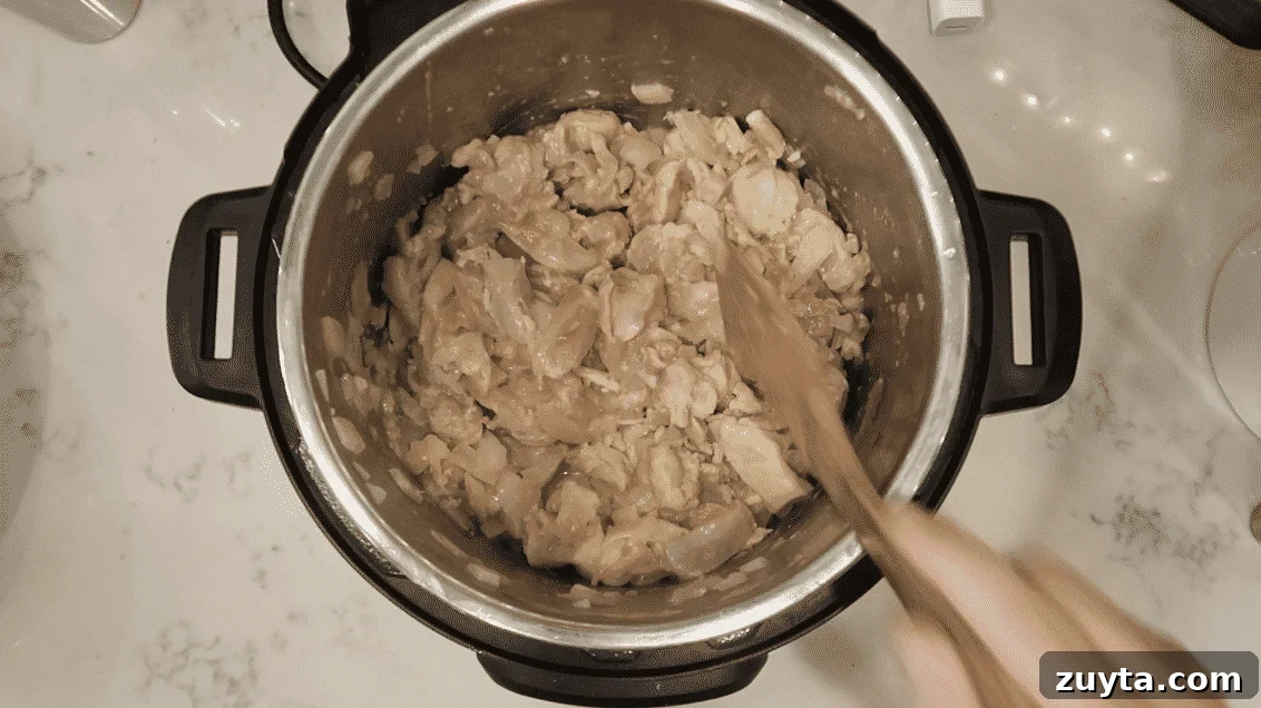Creamy Instant Pot Chicken Tikka Masala Recipe 6 Garlic and ginger added