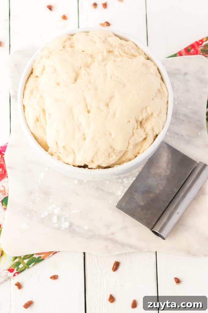 Streusel Kuchen: Classic German Coffee Cake Recipe 6 Dough for raised coffee cake.