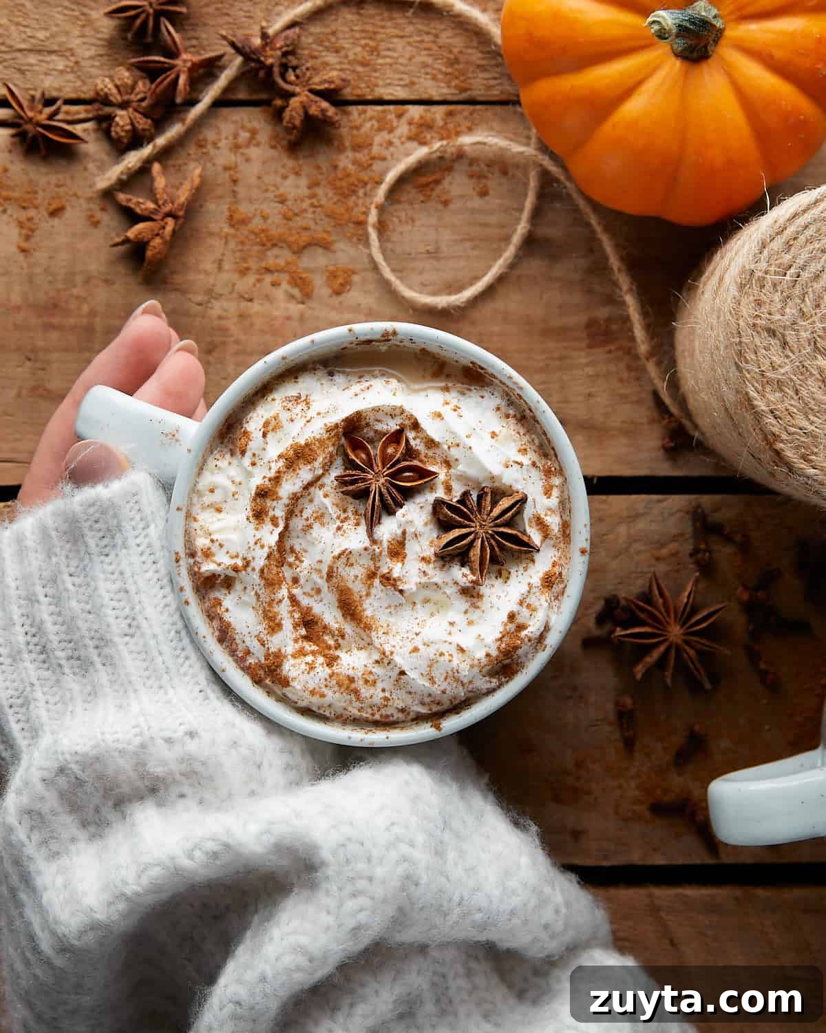 Homemade Pumpkin Spice Chai Latte Recipe 2 Overhead image of pumpkin spice chai latte.