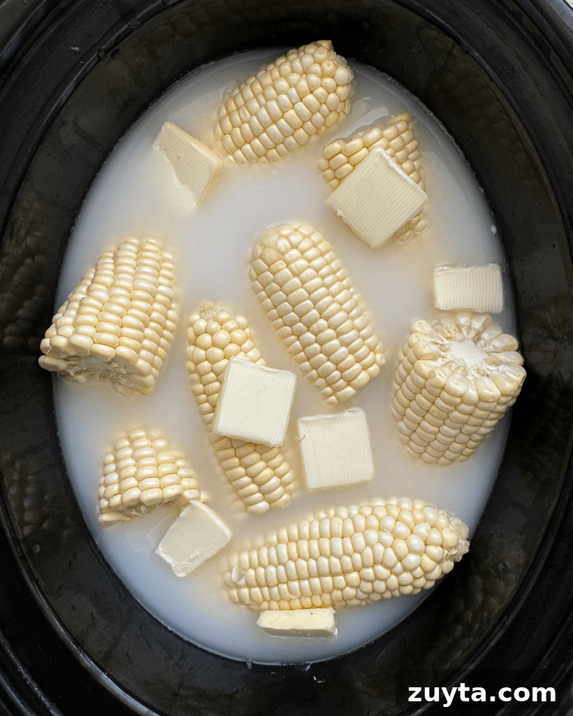 overhead shot of uncooked milk boiled corn in a black slow cooker