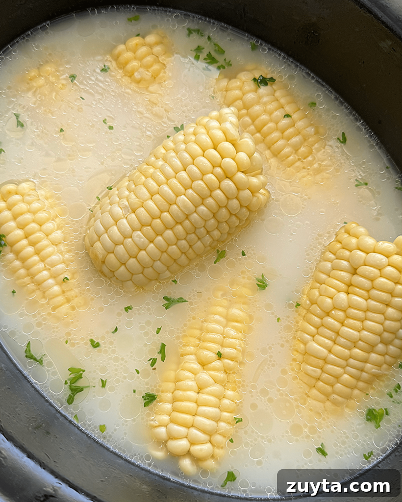 overhead shot of cooked milk boiled corn in a black slow cooker