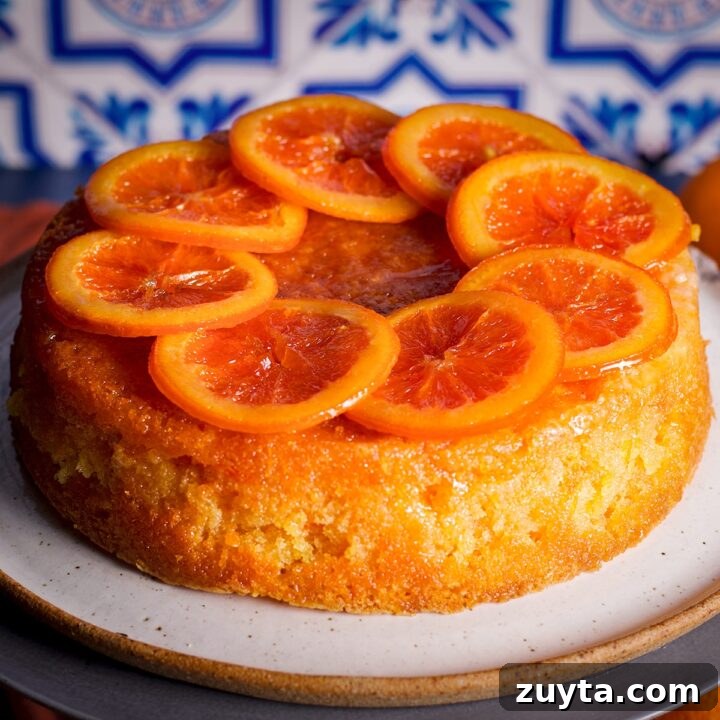 An orange drizzle cake decorated with candied orange slices.