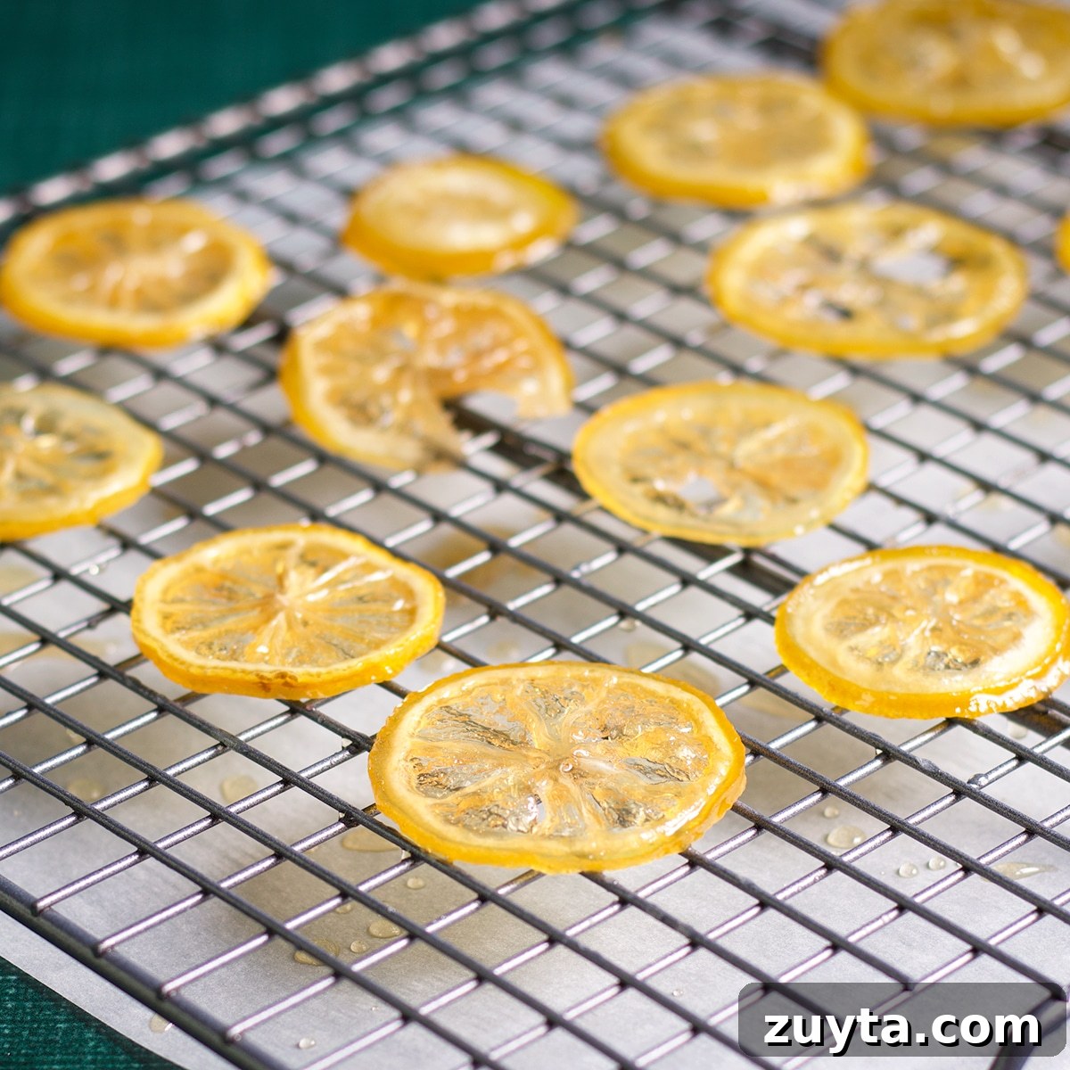 How to Make Candied Lemon Slices for Garnish and Snacks 6 Candied lemon slices laid out to dry on a wire baking rack.