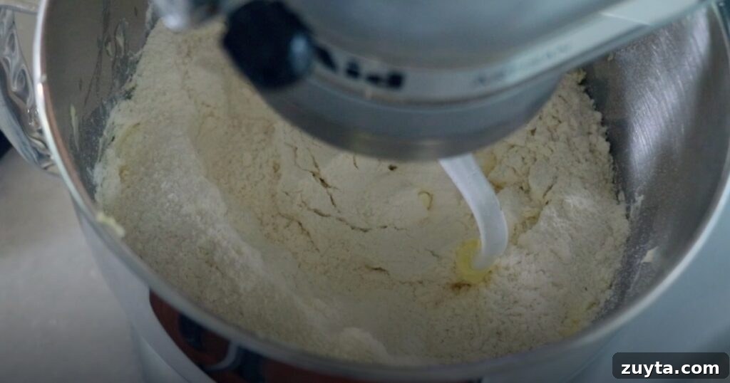Slice-and-Bake Icebox Cookies Recipe 6 adding flour to make cookie dough