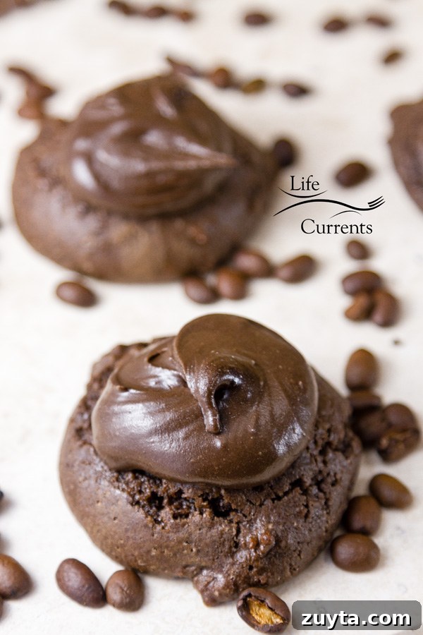 Brownie Cookies with Mocha Frosting Recipe Brownie Cookies with Mocha Frosting Recipe Oh my gosh are they good!