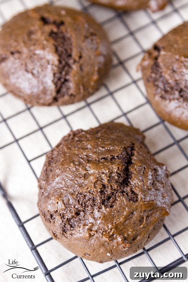 Brownie Cookies with Mocha Frosting Brownie Cookies with Mocha Frosting - The cookies themselves were perfect as is.