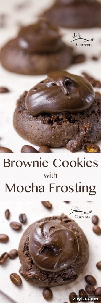 Brownie Cookies with Mocha Frosting Brownie Cookies with Mocha Frosting Recipe - soft delicious dark chocolate cookies topped with luscious coffee chocolate frosting.