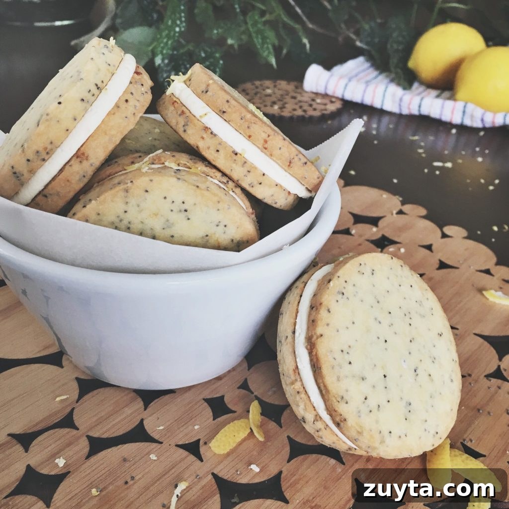 Lemon Poppy Seed Shortbread Cookies 5 Original 2016 lemon poppyseed shortbread photo