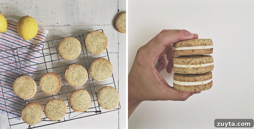 Lemon Poppy Seed Shortbread Cookies 6 Vintage photo of biscuits