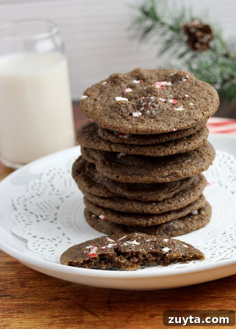 Chewy Mint Chocolate Chip Cookie Recipe 2 chewy mint chocolate chip peppermint holiday cookies kitchen gone rogue