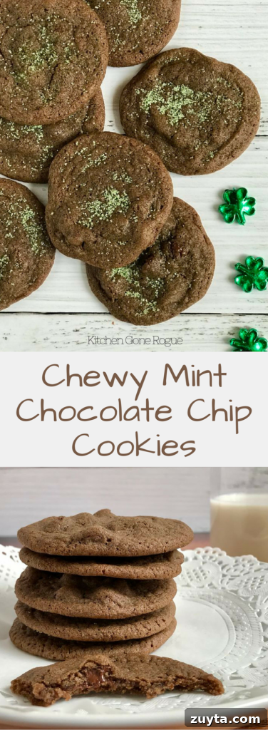 Chewy Mint Chocolate Chip Cookie Recipe 6 chewy mint chocolate chip cookies