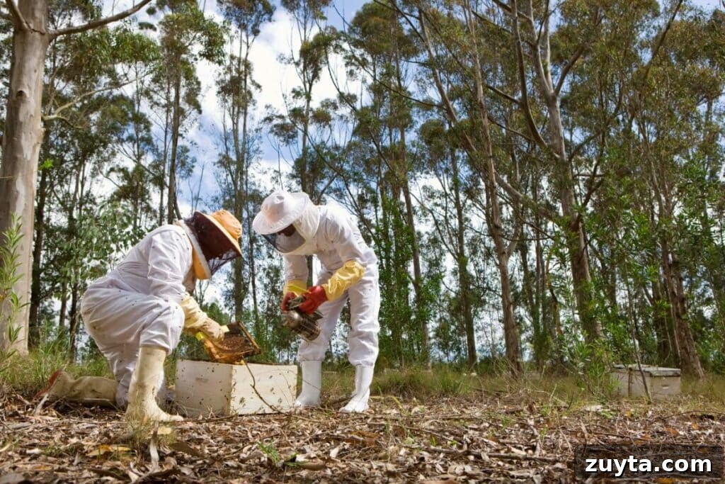 Beekeeping Gear Guide for Beginners: Equipment & Essentials 2 Two beekeepers in full protective suits working together outdoors, inspecting a hive frame and using a smoker to calm the bees in a forested area.