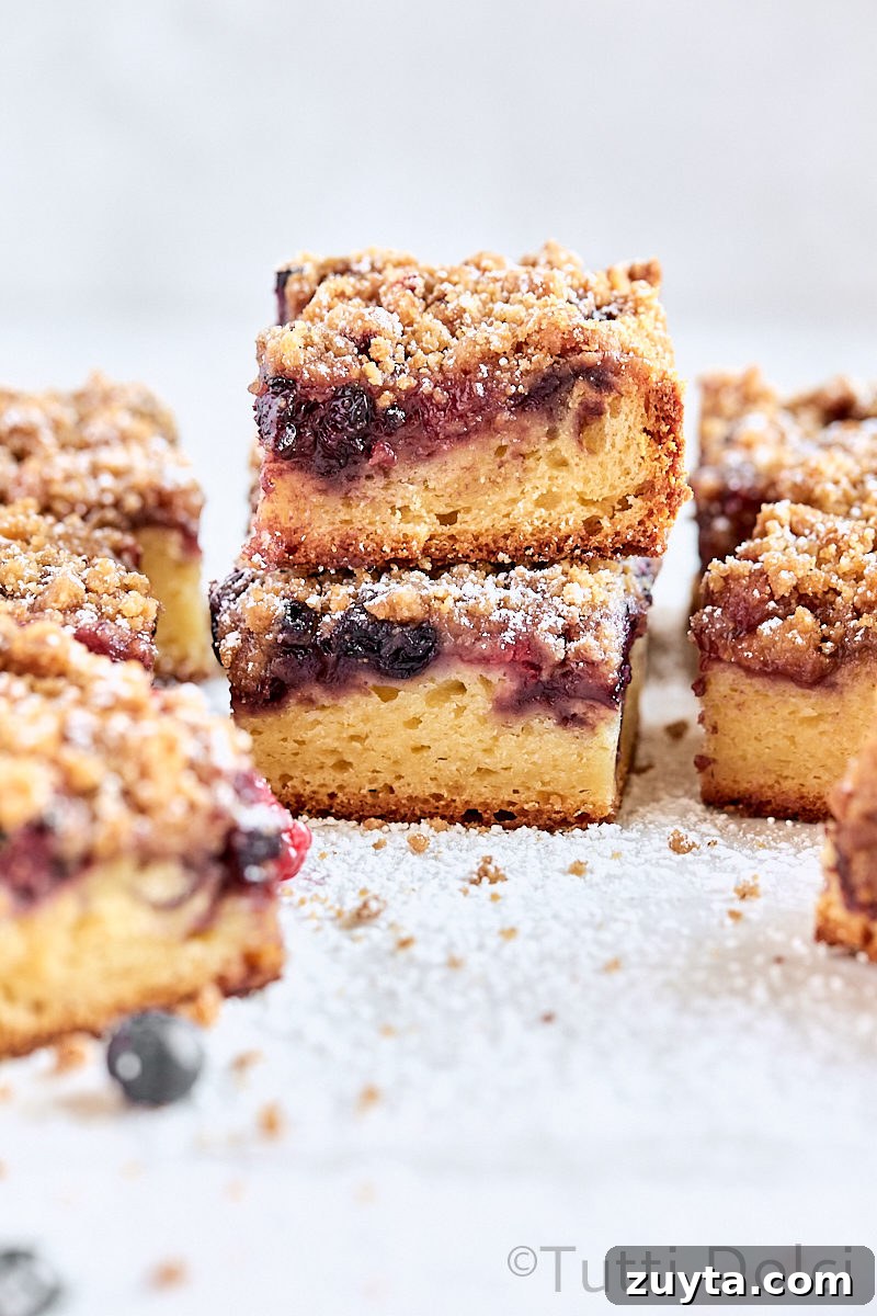 Mixed Berry Coffee Cake Recipe with Streusel Topping 2 Berry Streusel Coffee Cake
