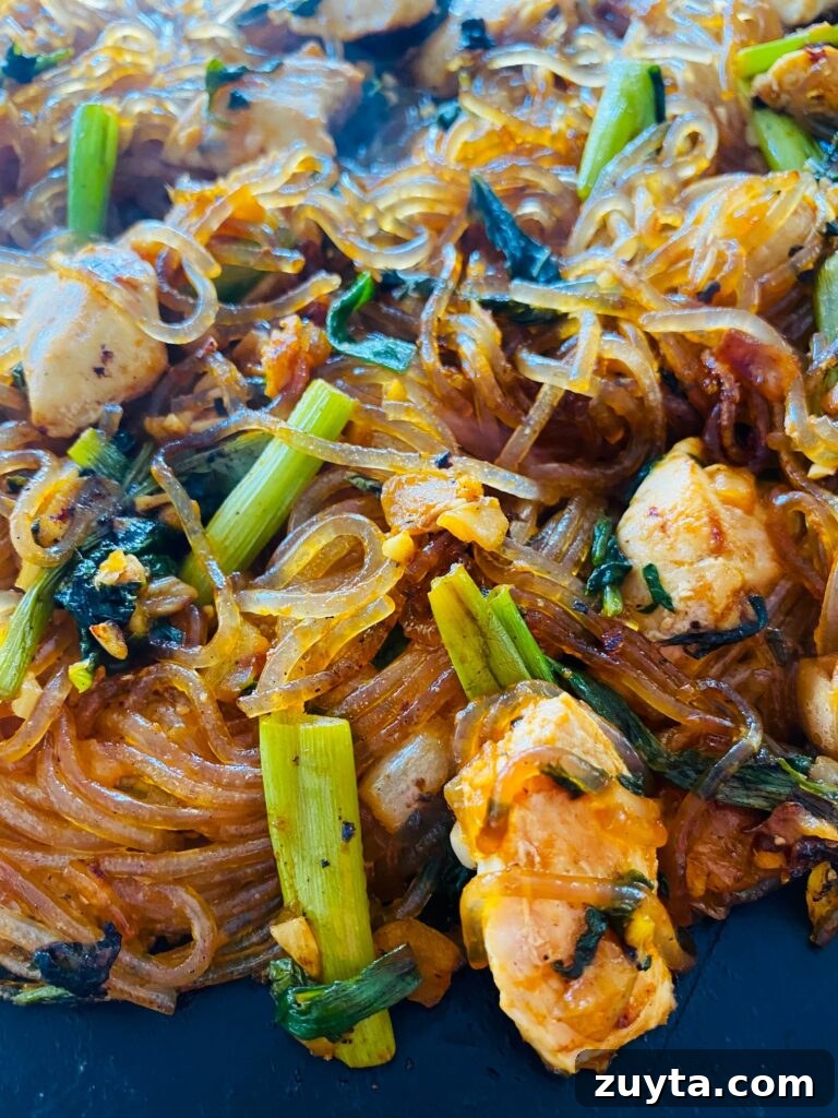 Blackstone Griddle Peanut Chicken Stir Fry Recipe 13 Blackstone Chicken and Sweet Potato Noodles