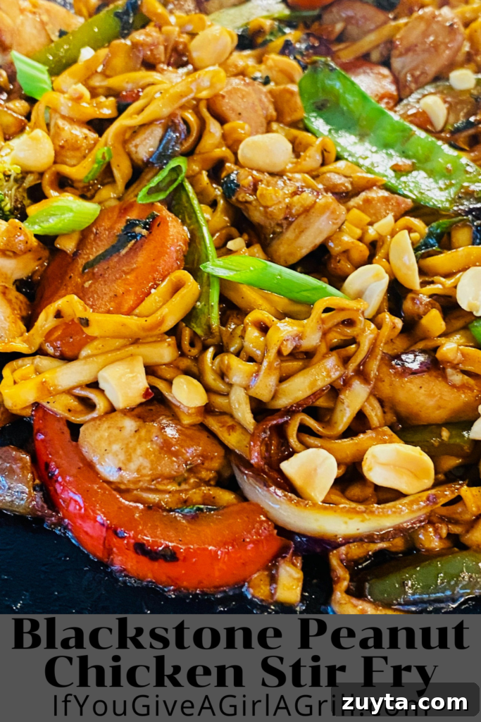 Blackstone Griddle Peanut Chicken Stir Fry Recipe 16 img 33078 19