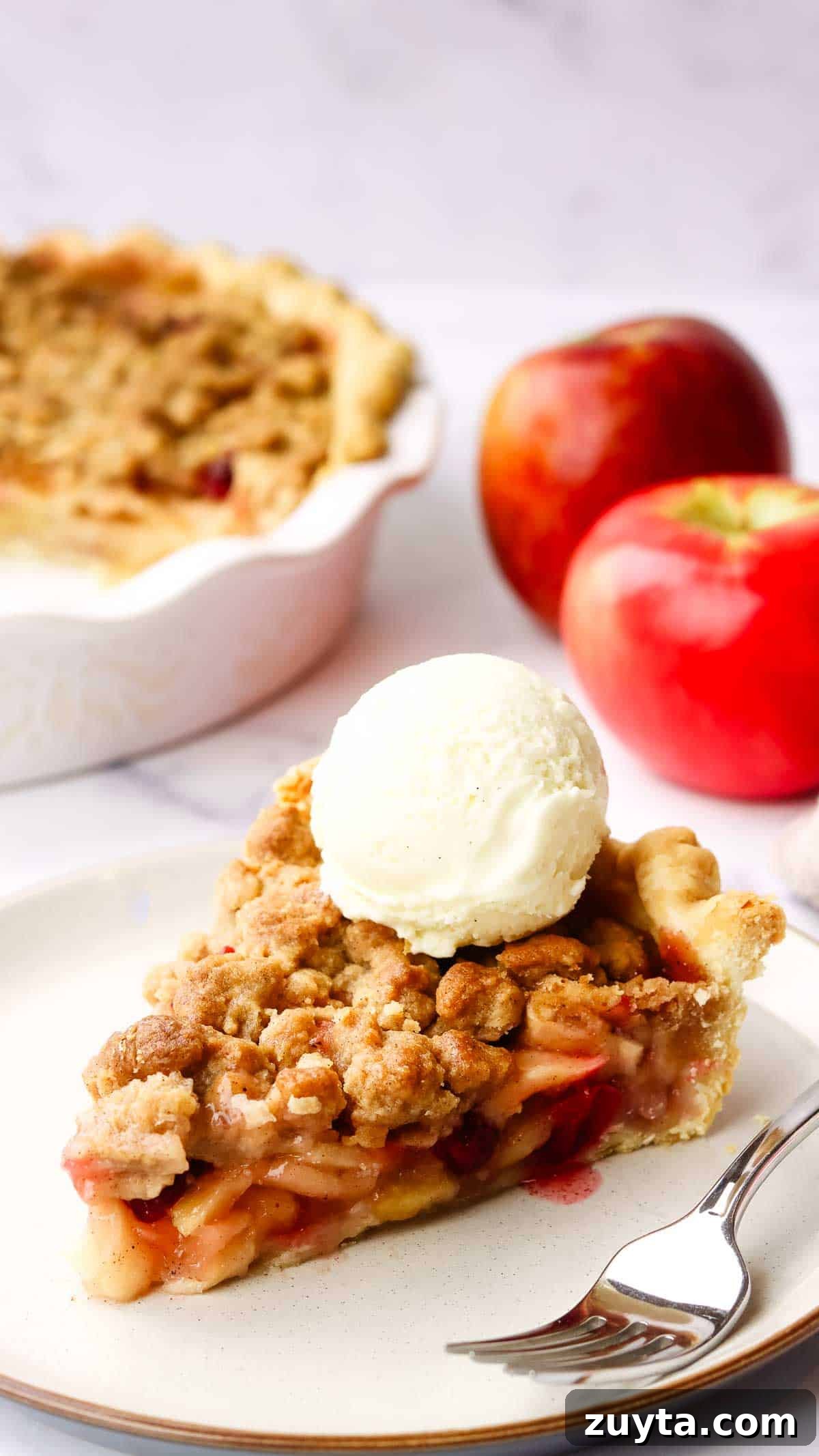 Rustic Apple Cranberry Crumble Pie Recipe 2 a slice of apple cranberry crumble pie topped with a scoop of vanilla ice cream