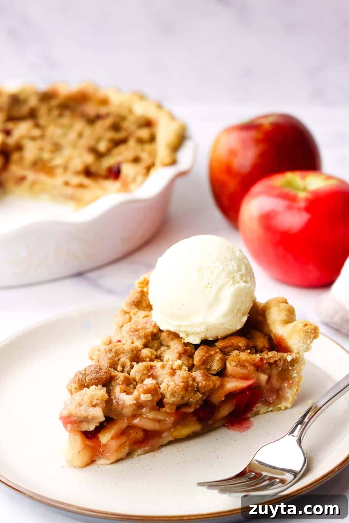 Rustic Apple Cranberry Crumble Pie Recipe 10 a slice of apple cranberry crumble pie topped with vanilla ice cream on a plate with a fork