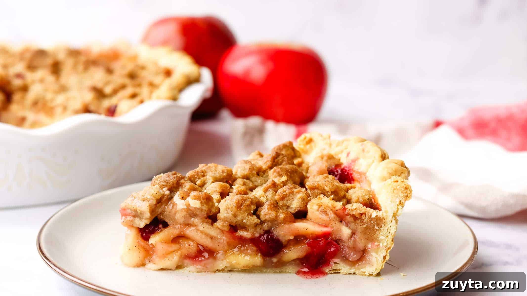 Rustic Apple Cranberry Crumble Pie Recipe 3 a slice of apple cranberry crumble pie on a plate