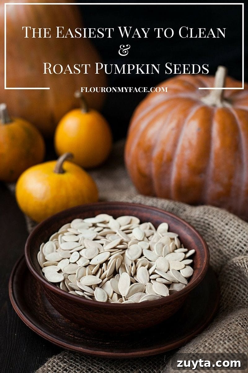 How to clean and roast pumpkins seeds. How to clean and roast pumpkins seeds. The easiest way to clean those stringy pieces of pumpkin pulp from pumpkins seeds and to make the salty roasted pumpkin seeds that you love via flouronmyface.com