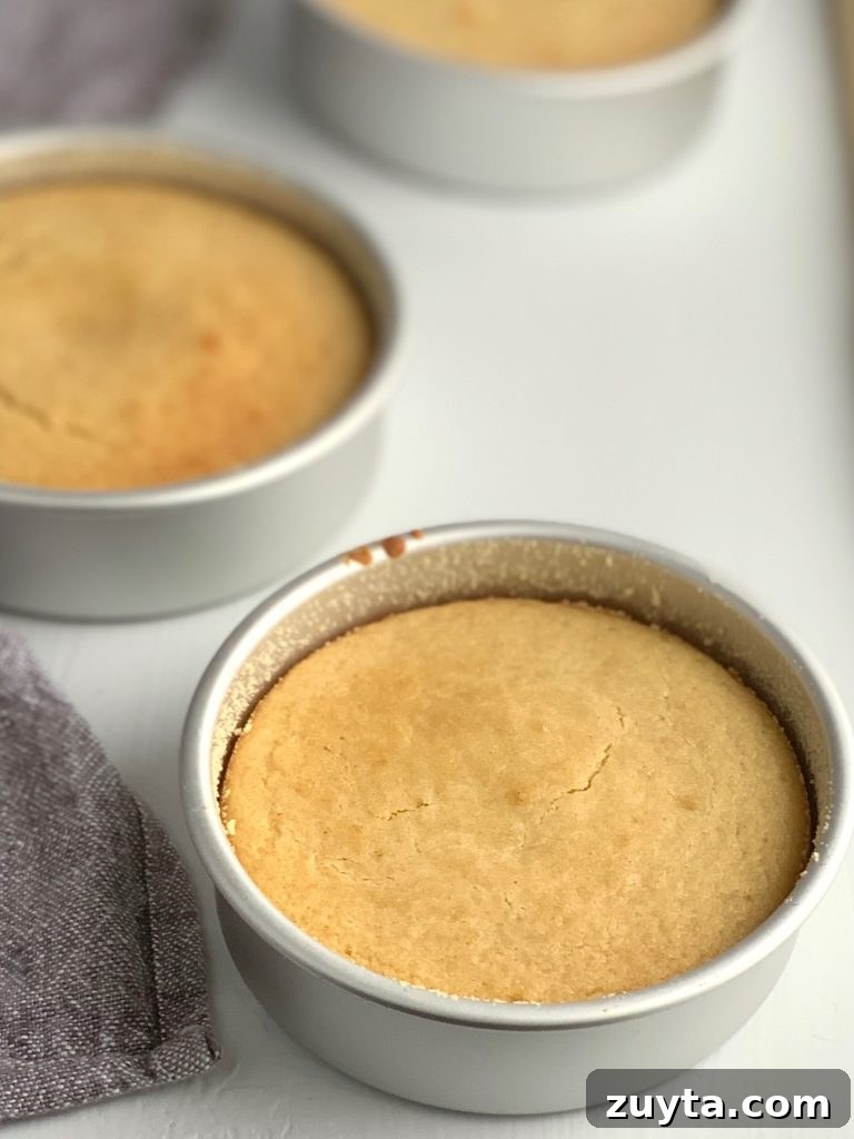 3 vanilla cakes in cake pans