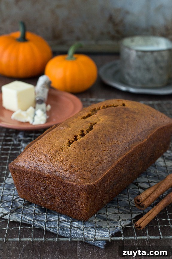 Copycat Starbucks Pumpkin Bread Recipe 2 whole pumpkin bread loaf on metal cooling rack with pumpkins in the background