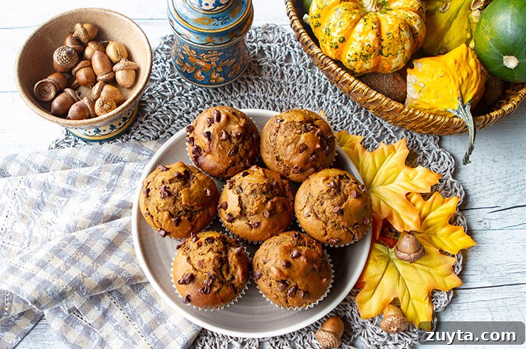 Moist Chocolate Pumpkin Muffins Recipe with Cinnamon 2 Chocolate pumpkin muffins on a rack