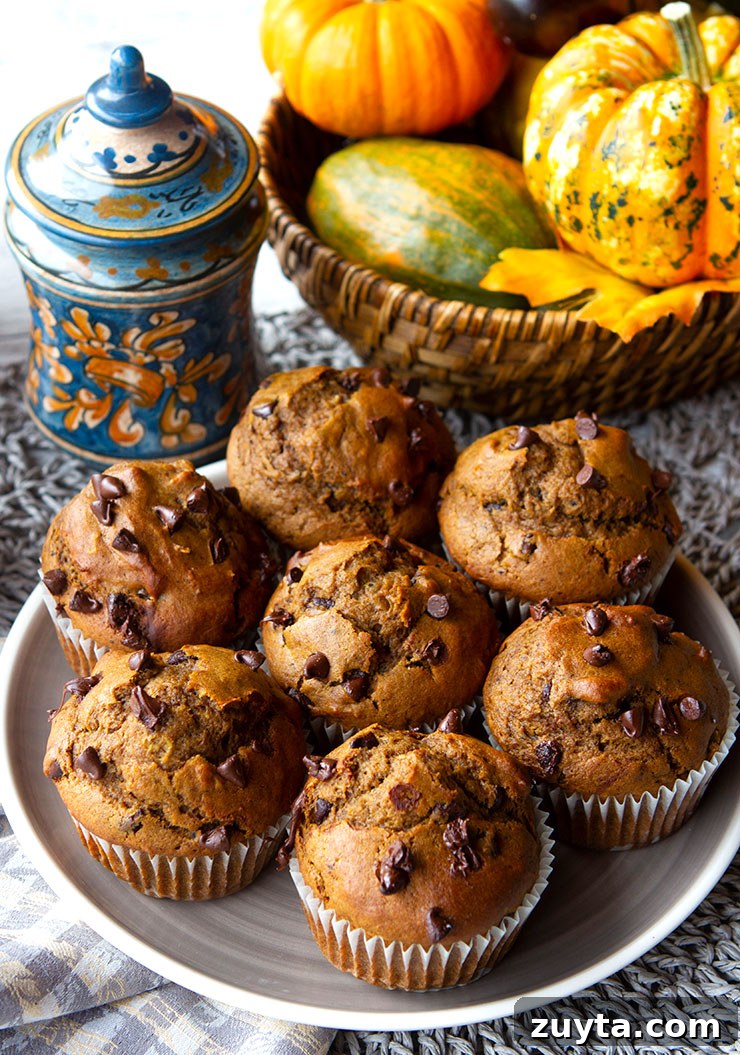 Moist Chocolate Pumpkin Muffins Recipe with Cinnamon 3 Close up of chocolate pumpkin muffin