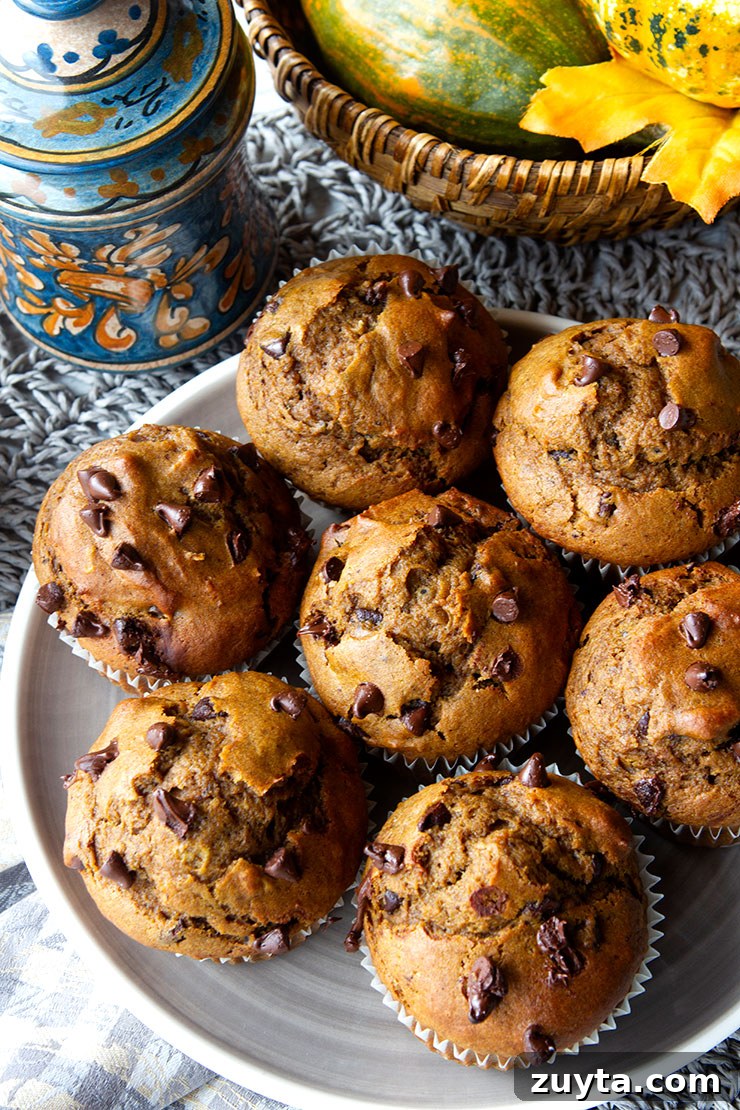 Moist Chocolate Pumpkin Muffins Recipe with Cinnamon 4 Plate of chocolate pumpkin muffins