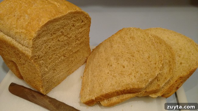 Homemade Bran Bread Recipe from Scratch 2 Perfect Loaf of bran bread
