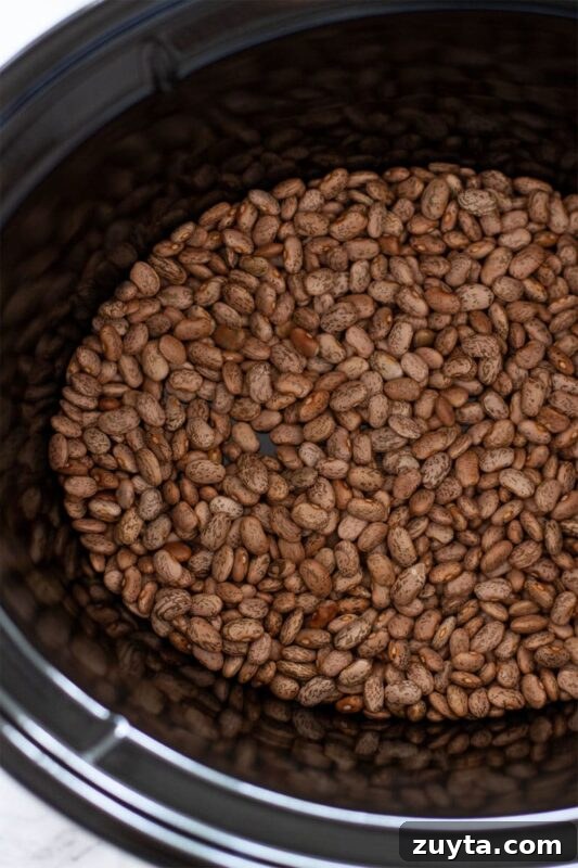 Slow Cooker Pinto Beans Recipe 8 Pinto beans in a slow cooker.