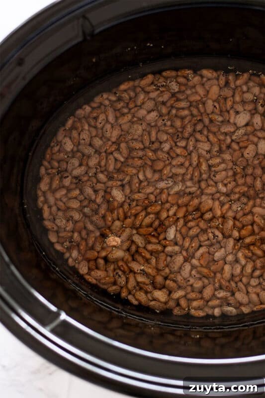 Slow Cooker Pinto Beans Recipe 9 Pinto Beans in a slow cooker covered with water, salt and pepper in water.