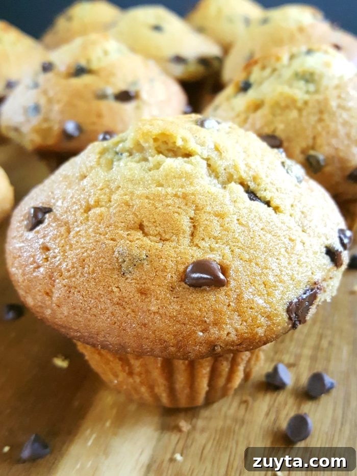 img 3638 1