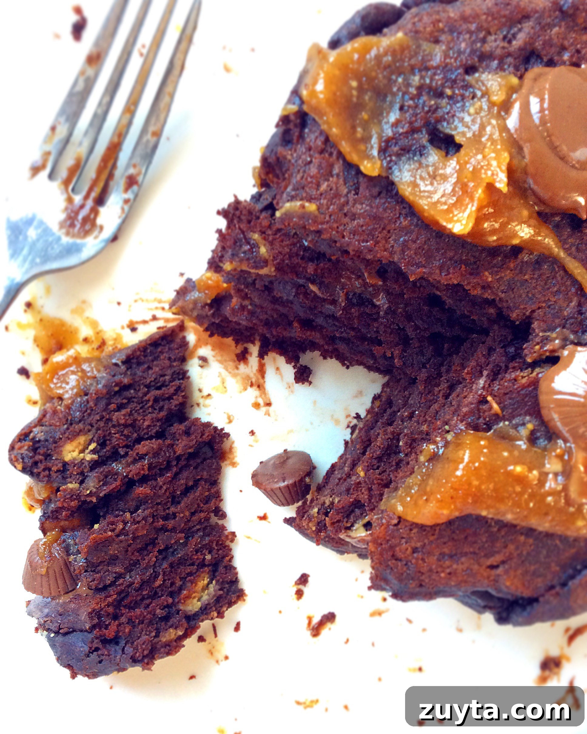 Chocolate Peanut Butter Cup Pancakes Recipe 9 Chocolate Peanut Butter Cup Pancakes
