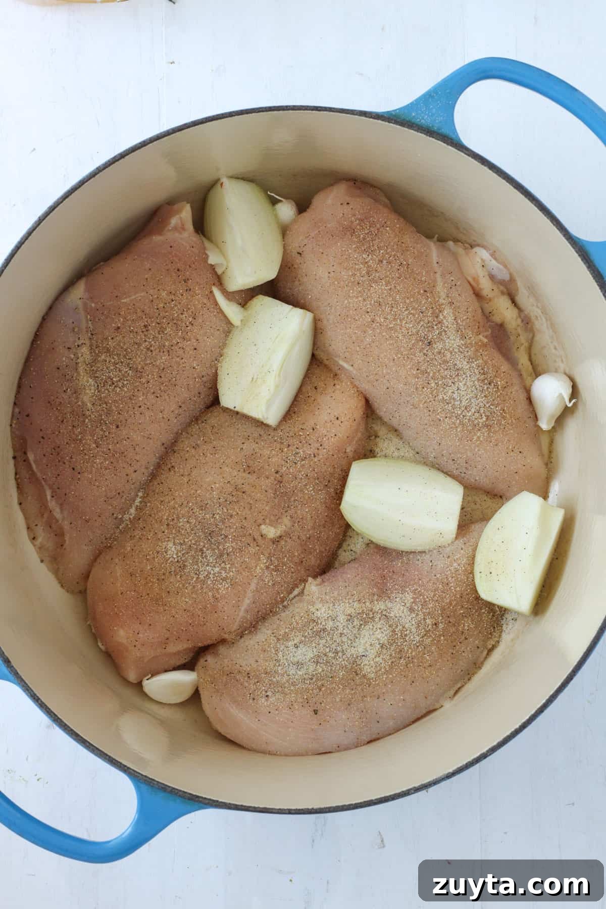 Flavorful Dutch Oven Pulled Chicken Recipe 4 Chicken breasts with quartered onions and garlic cloves in a Dutch oven.