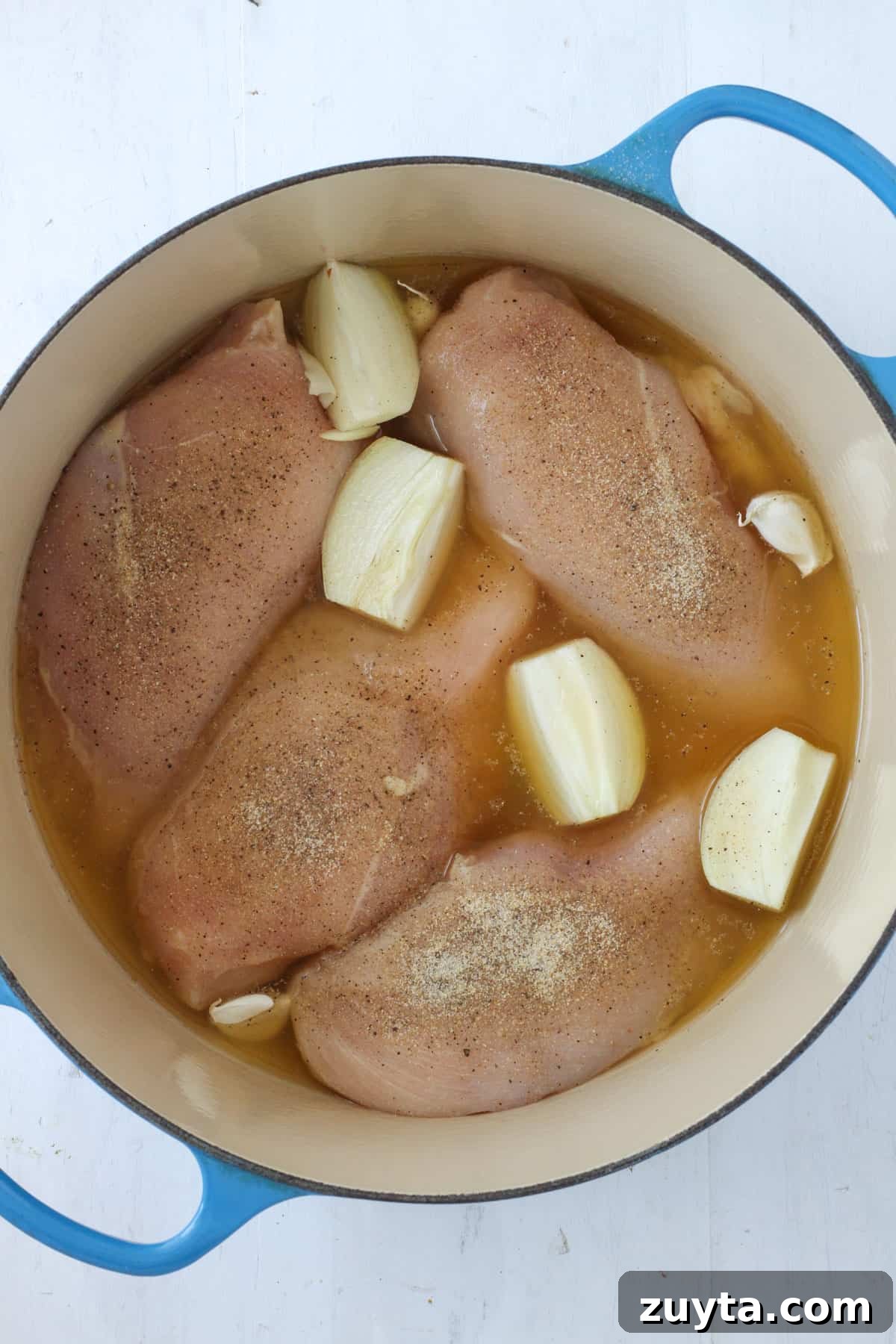 Flavorful Dutch Oven Pulled Chicken Recipe 5 Chicken breasts, onions and garlic covered with chicken broth in a Dutch oven.